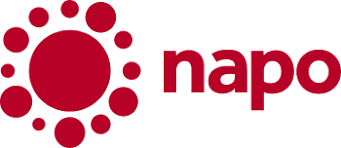 national association of patient organizations napo 